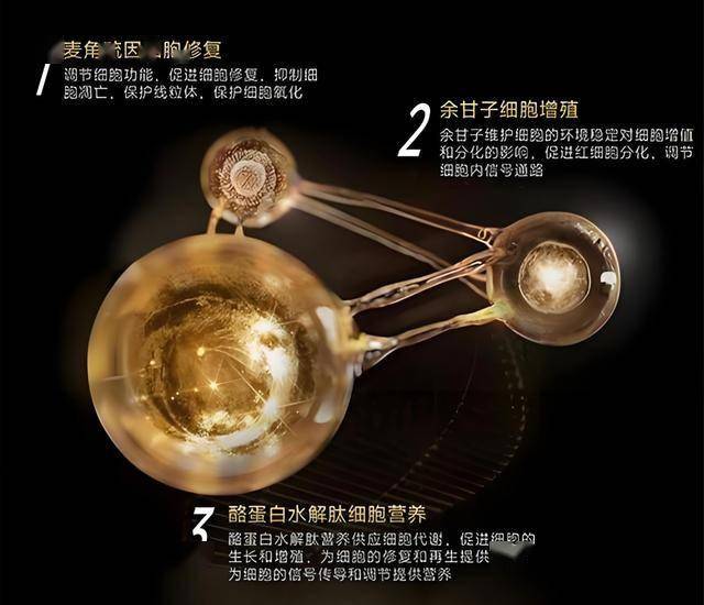 外汇行情实时解读，教你抓住理财机会！